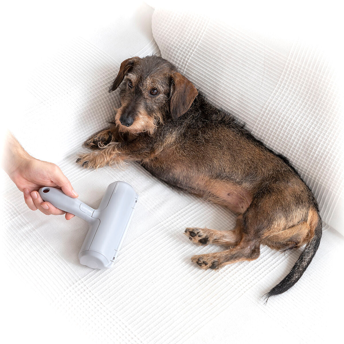FurSweep™ – Reusable Pet Hair Remover Roller